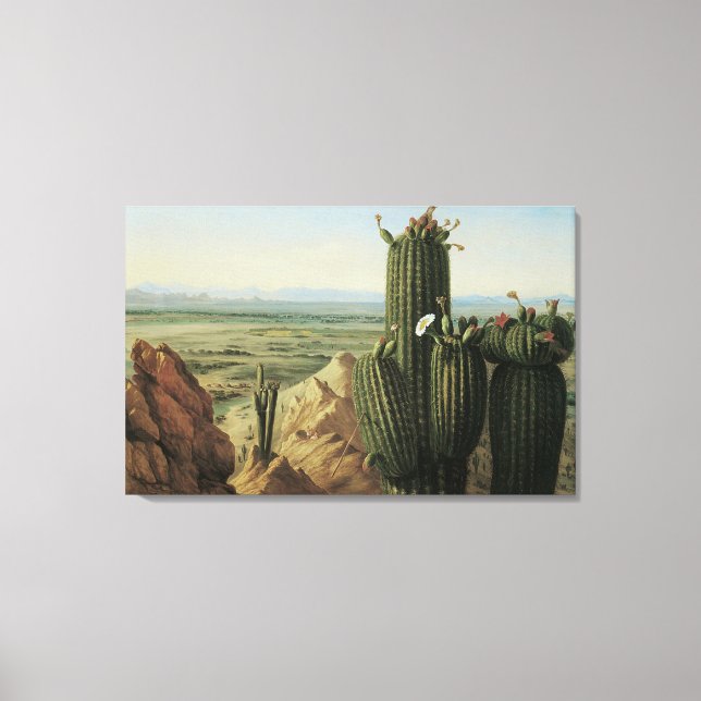View from Maricopa Mountain Near Rio Gila by Pratt Canvas Print (Front)