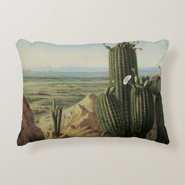 View from Maricopa Mountain Near Rio Gila by Pratt Decorative Cushion (Front)