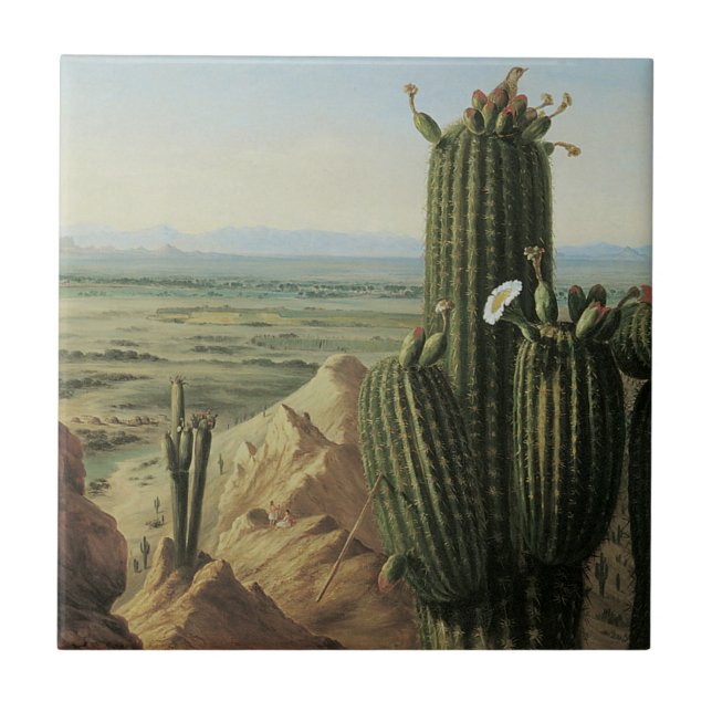 View from Maricopa Mountain Near Rio Gila by Pratt Tile (Front)