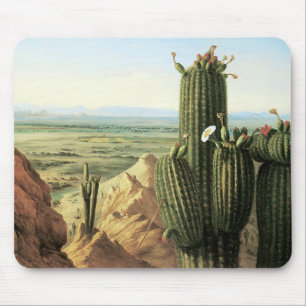 View from Maricopa Mountain near the River Gila Mouse Pad