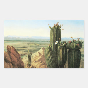 View from Maricopa Mountain near the River Gila Rectangular Sticker