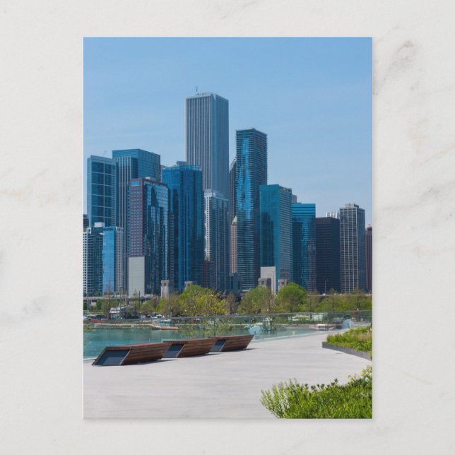 View From Navy Pier Postcard (Front)
