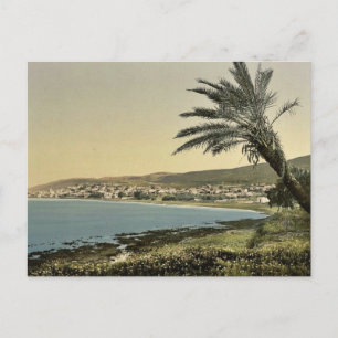 View from near foot of Mount Carmel, Chaifa, (i.e. Postcard