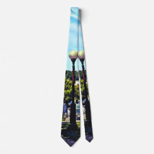 View From Niagara Falls State Park Tie