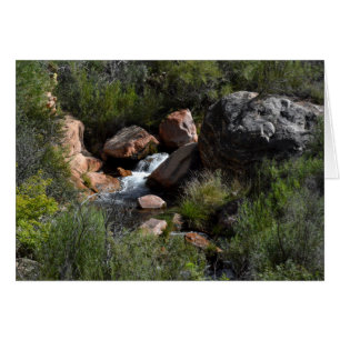View from North Kaibab Trail, Grand Canyon