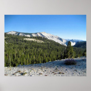 View from Olmstead Point, Yosemite, CA Poster