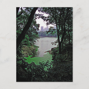 View from Ramble-Central Park Colourized Postcard