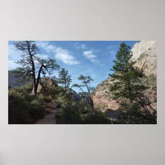 View from Scout Lookout at Zion National Park Poster
