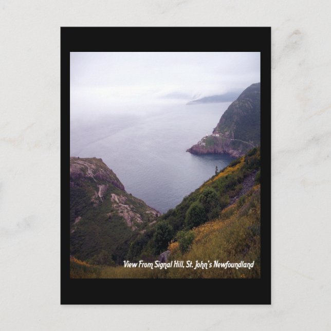 View From Signal Hill 1 Postcard (Front)