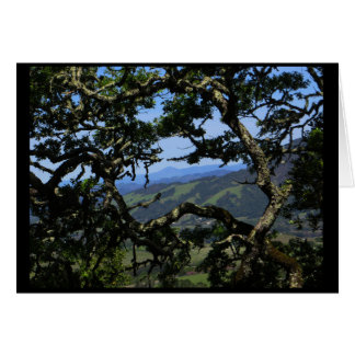 View from Sonoma Mountain