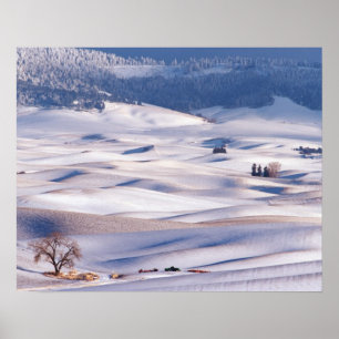 View from Steptoe Butte of rolling hills covered Poster