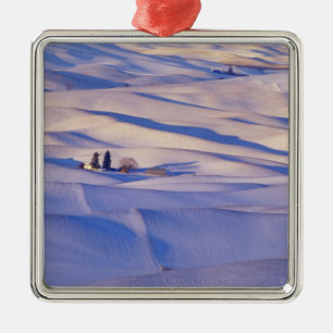 View from Steptoe Butte of rolling hills Metal Tree Decoration