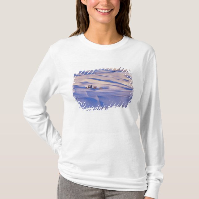View from Steptoe Butte of rolling hills T-Shirt (Front)