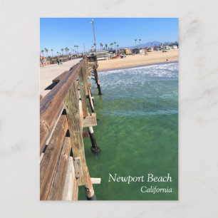 View from the Pier, Newport Beach, California Postcard