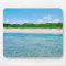 View From The Sandbar Mousepad