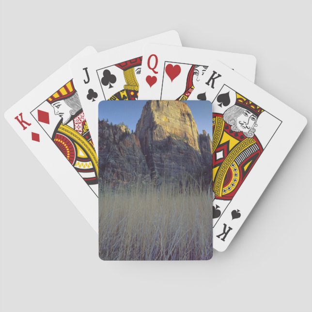 View from Virgin River flood plain, Zion Canyon Playing Cards (Back)