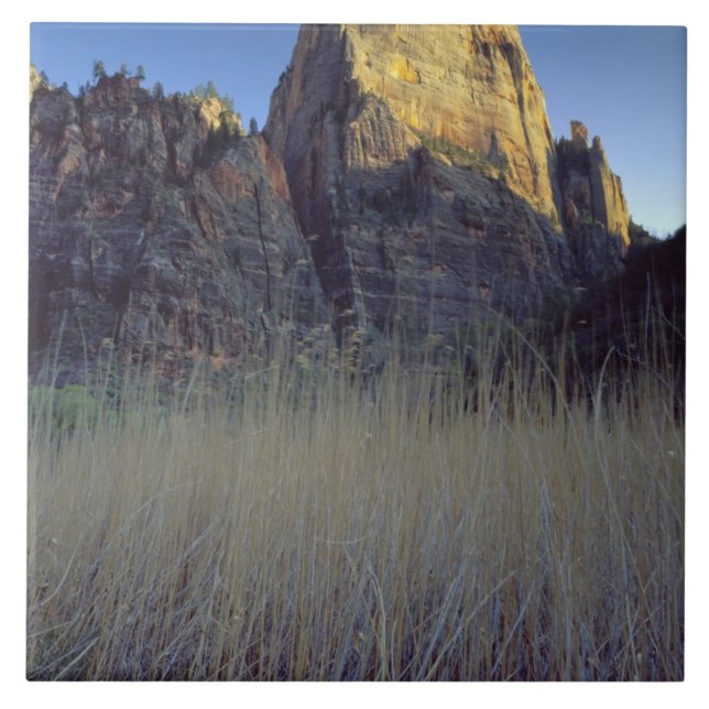 View from Virgin River flood plain, Zion Canyon Tile (Front)