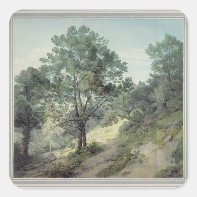 View near Cantonteign, Devon Square Sticker (Front)