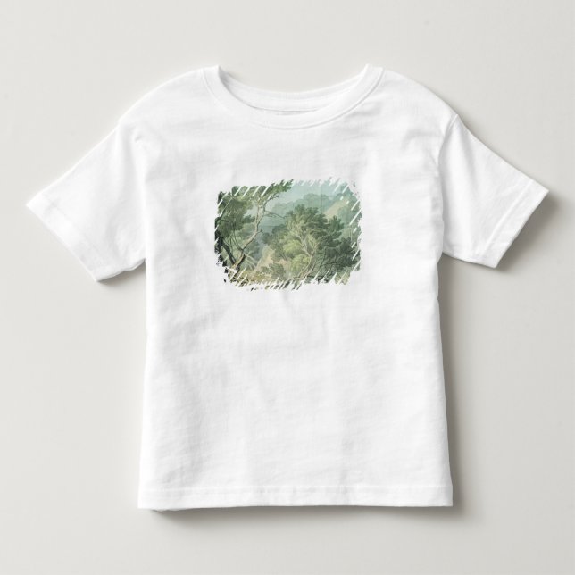 View near Fordlands, Exeter Toddler T-Shirt (Front)