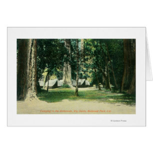 View of a Camp in the Redwoods