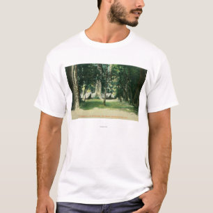 View of a Camp in the Redwoods T-Shirt