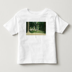 View of a Camp in the Redwoods Toddler T-Shirt