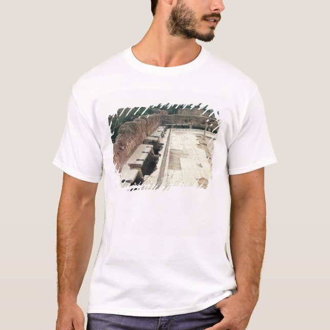 View of a communal lavatory T-Shirt (Front)