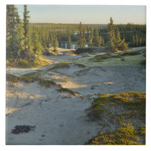 View of a lake and the surrounding sand hills, tile
