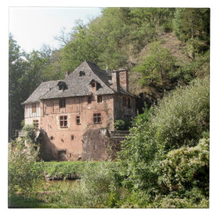 View of a manor house (photo) tile