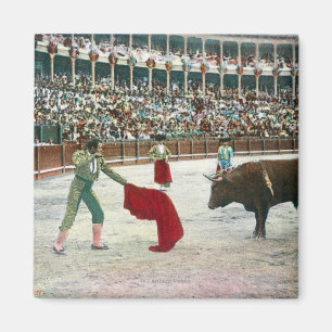 View of a Matador About to Slay the BullSpain Magnet