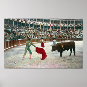 View of a Matador About to Slay the BullSpain Poster