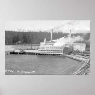 View of a Paper Plant Poster