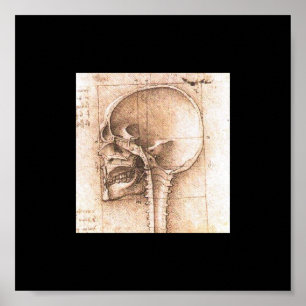 View of a Skull by Leonardo Da Vinci c. 1489 Poster