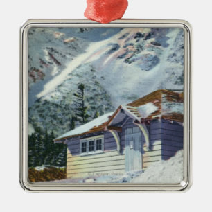 View of a US Forest Service Ski Shelter Metal Tree Decoration