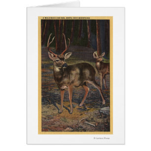 View of a Wild Buck & Doe