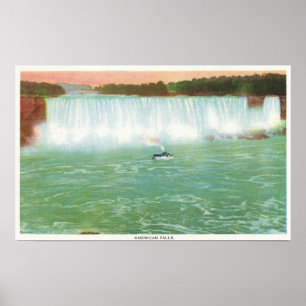 View of American Falls Poster