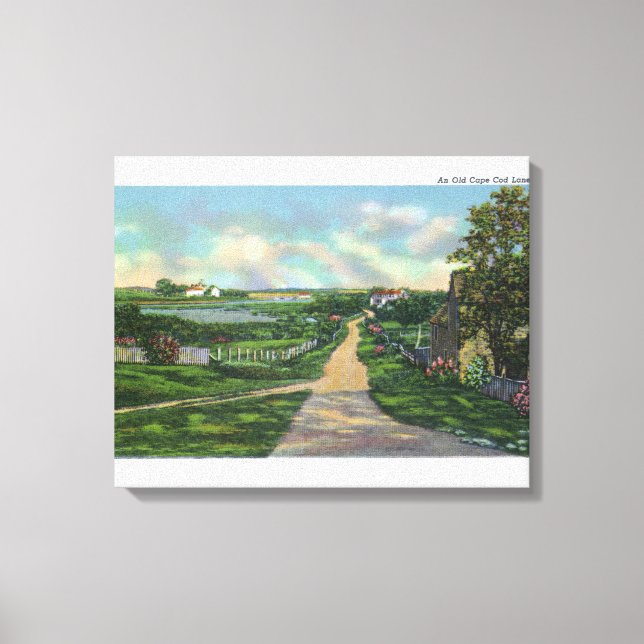 View of an Old Cape Cod Lane Canvas Print (Front)