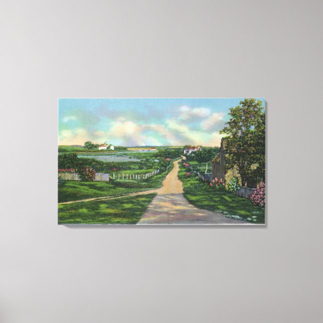 View of an Old Cape Cod Lane Canvas Print (Front)