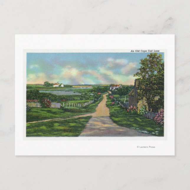 View of an Old Cape Cod Lane Postcard (Front)