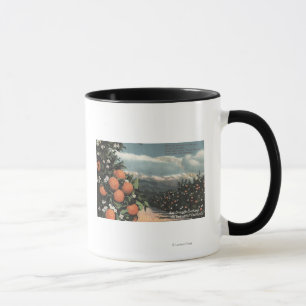 View of an Orange Orchard with Mountains Mug