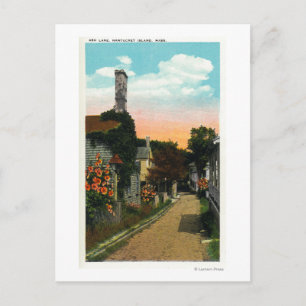 View of Ash Lane Postcard