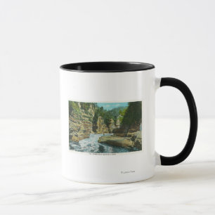 View of Ausable Chasm near Elephant's Head Mug