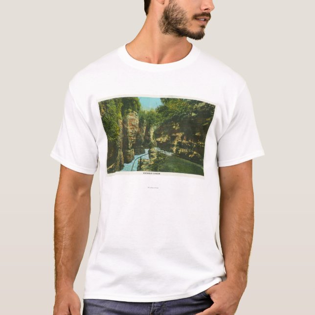 View of Ausable Chasm T-Shirt (Front)