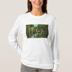 View of Ausable Chasm T-Shirt