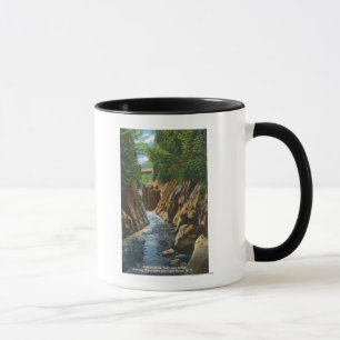 View of Ausable River Falls and Bridge Mug
