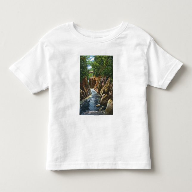 View of Ausable River Falls and Bridge Toddler T-Shirt (Front)