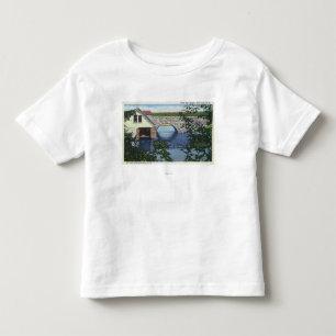View of Back Bay Bridge Toddler T-Shirt