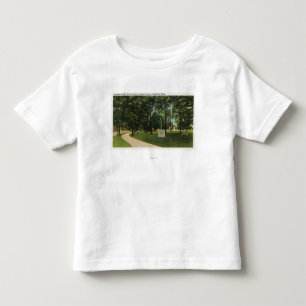 View of Battle Ground, now Lexington Green Toddler T-Shirt