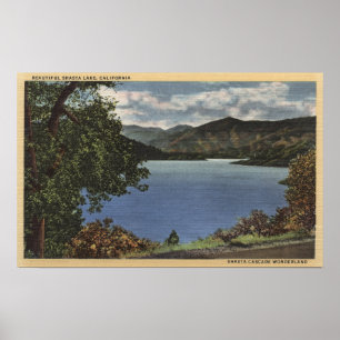 View of Beautiful Shasta Lake Poster