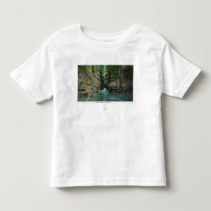 View of Boat Coming through the Flume Toddler T-Shirt
